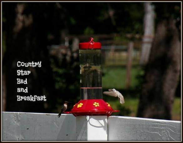 (Credit: Cher McHan.)